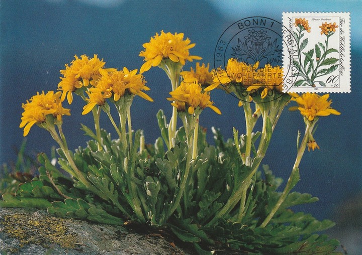 PC_Bundespost_BDR30-83