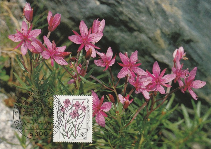 PC_Bundespost_BDR31-83