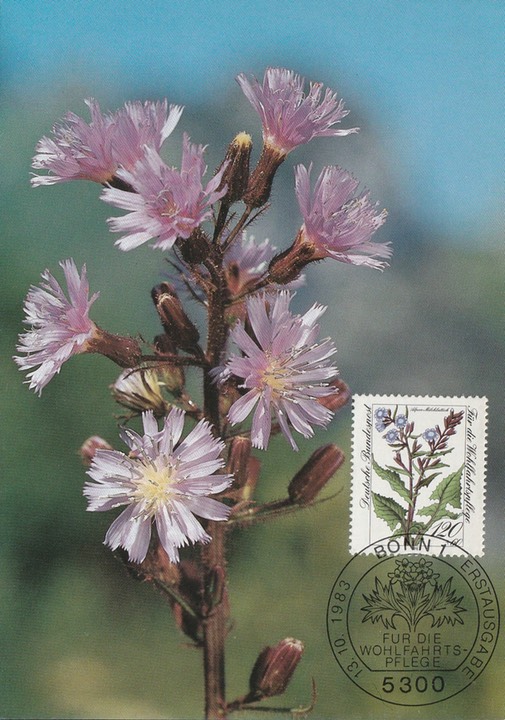 PC_Bundespost_BDR32-83