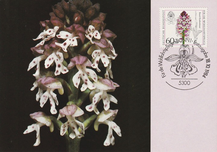 PC_Bundespost_Bund31-84