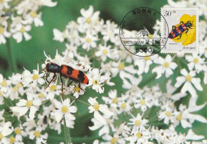 PC_Bundespost_Bund6-84