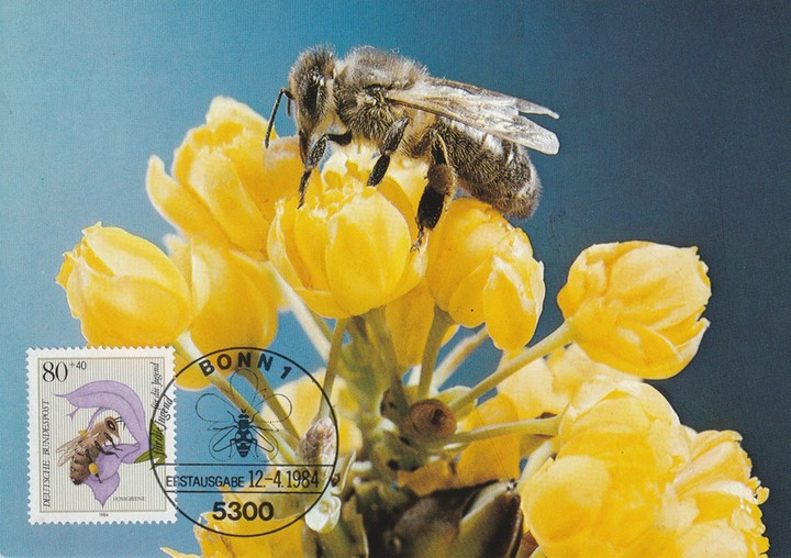 PC_Bundespost_Bund8-84