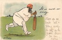 Cricket series