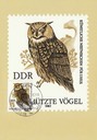 PC_DDR-GechützteVögel3-82