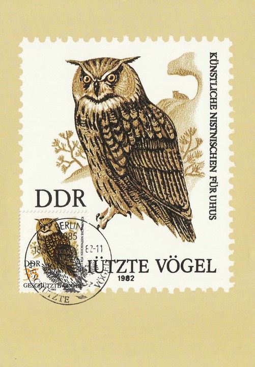 PC_DDR-GechützteVögel3-82