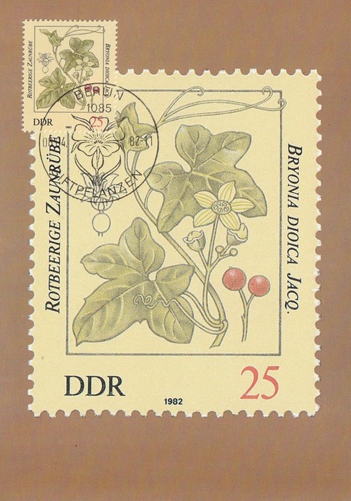 PC_DDR-Giftpflanzen2-82d