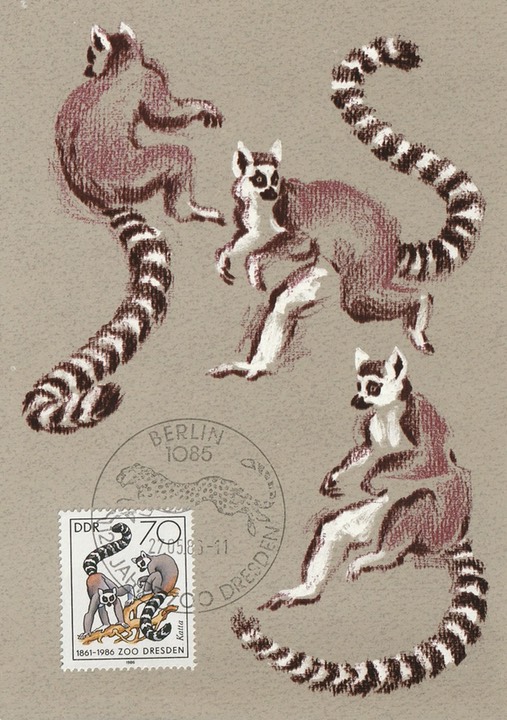 PC_DDR-ZooDresden125b