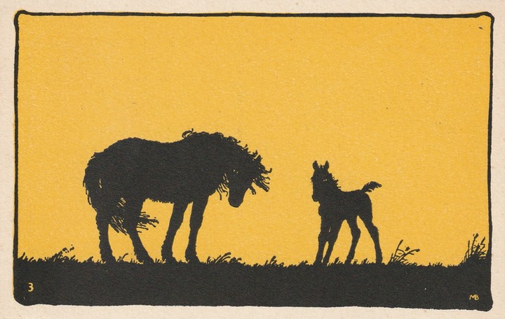 PC_Silhouette-GreenwoodY03