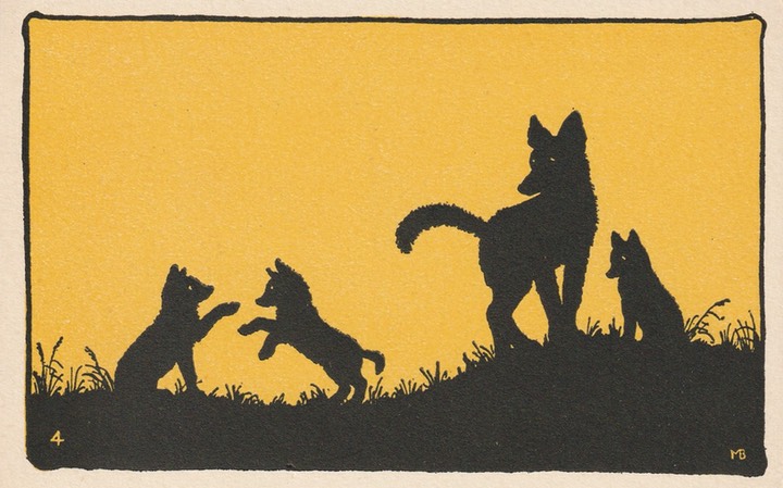 PC_Silhouette-GreenwoodY04