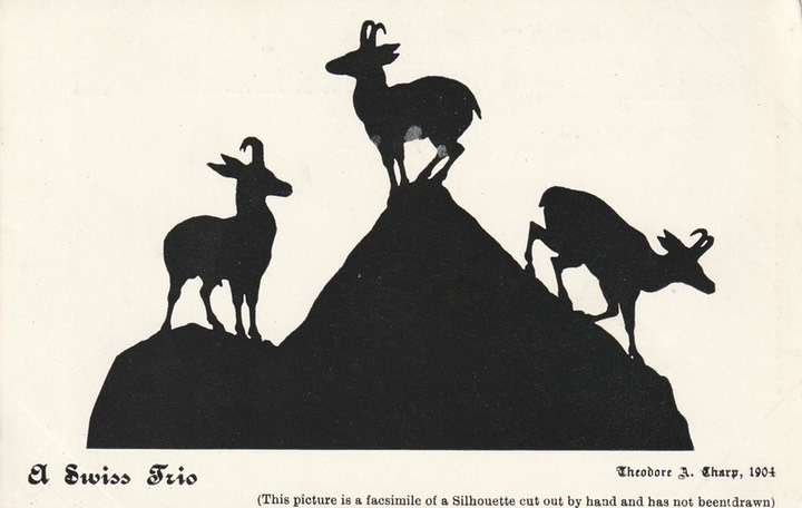 PC_Silhouette-TJSharp-Hildesheimer5226a